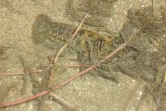r03