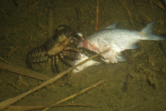 r07